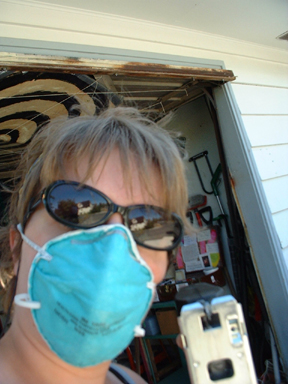 Shylene ready to cut